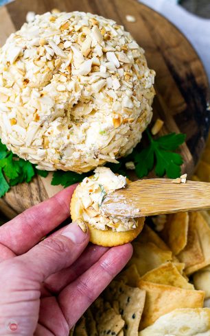 HOW TO MAKE A CLASSIC CHEESE BALL {Sweet or Savory!}