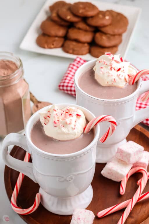 homemade peppermint hot chocolate mix