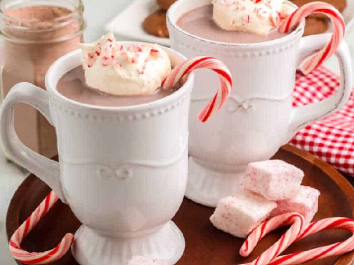 Homemade Peppermint Hot Chocolate Take Two Tapas 