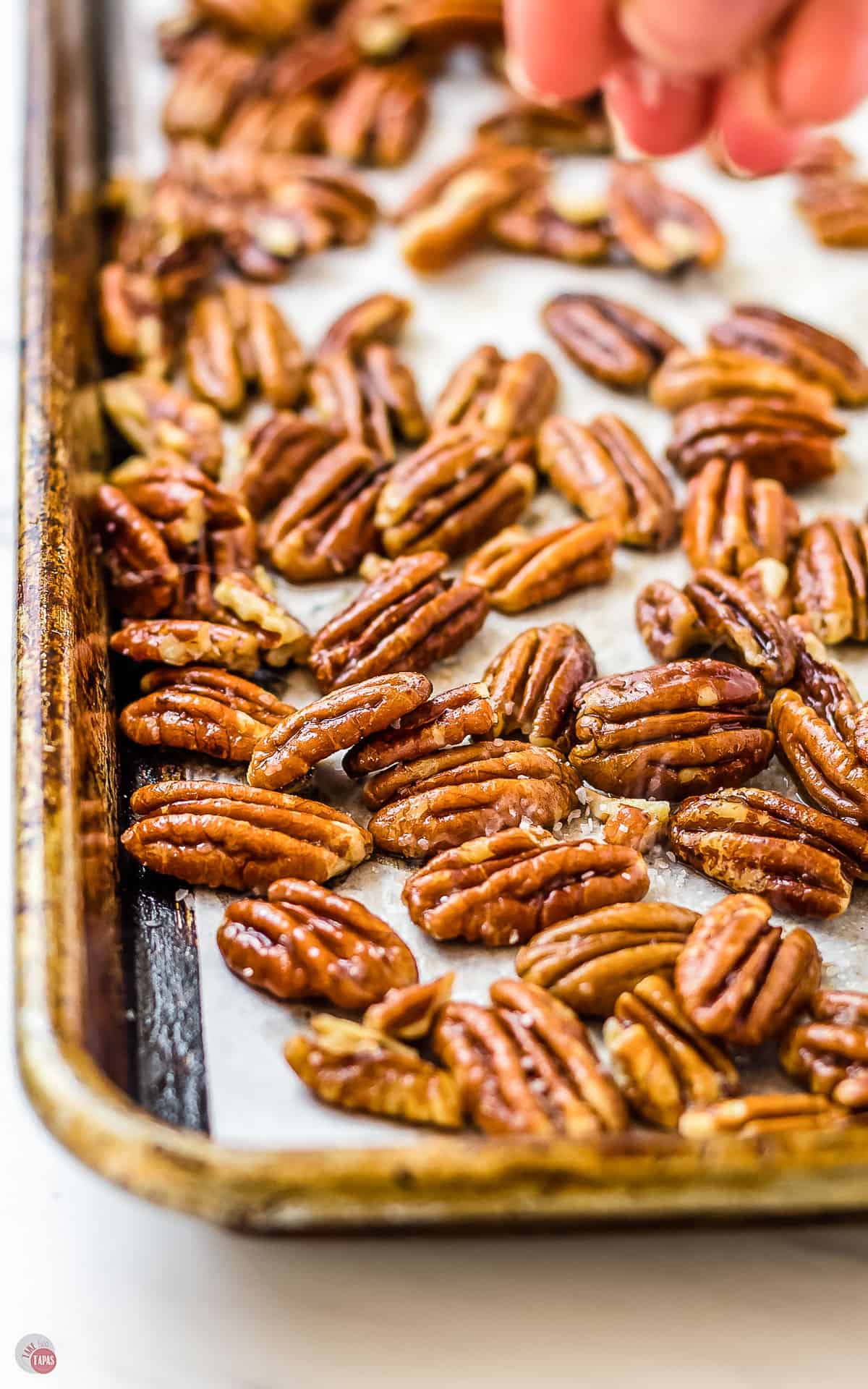 tray of toasted pecans