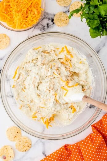 Green Chile Dip (under 30 minutes!)