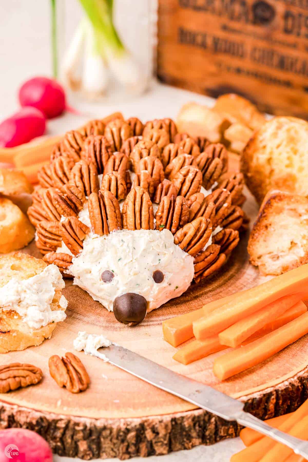 front view of hedgehog cheese ball