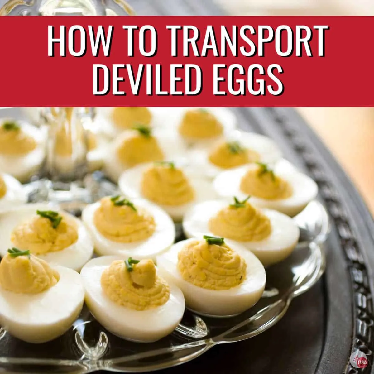 How to Transport Deviled Eggs (Tips) Take Two Tapas