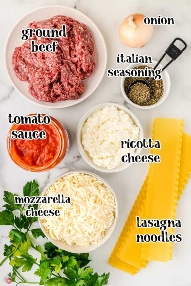 Crockpot Lasagna Dip - Take Two Tapas