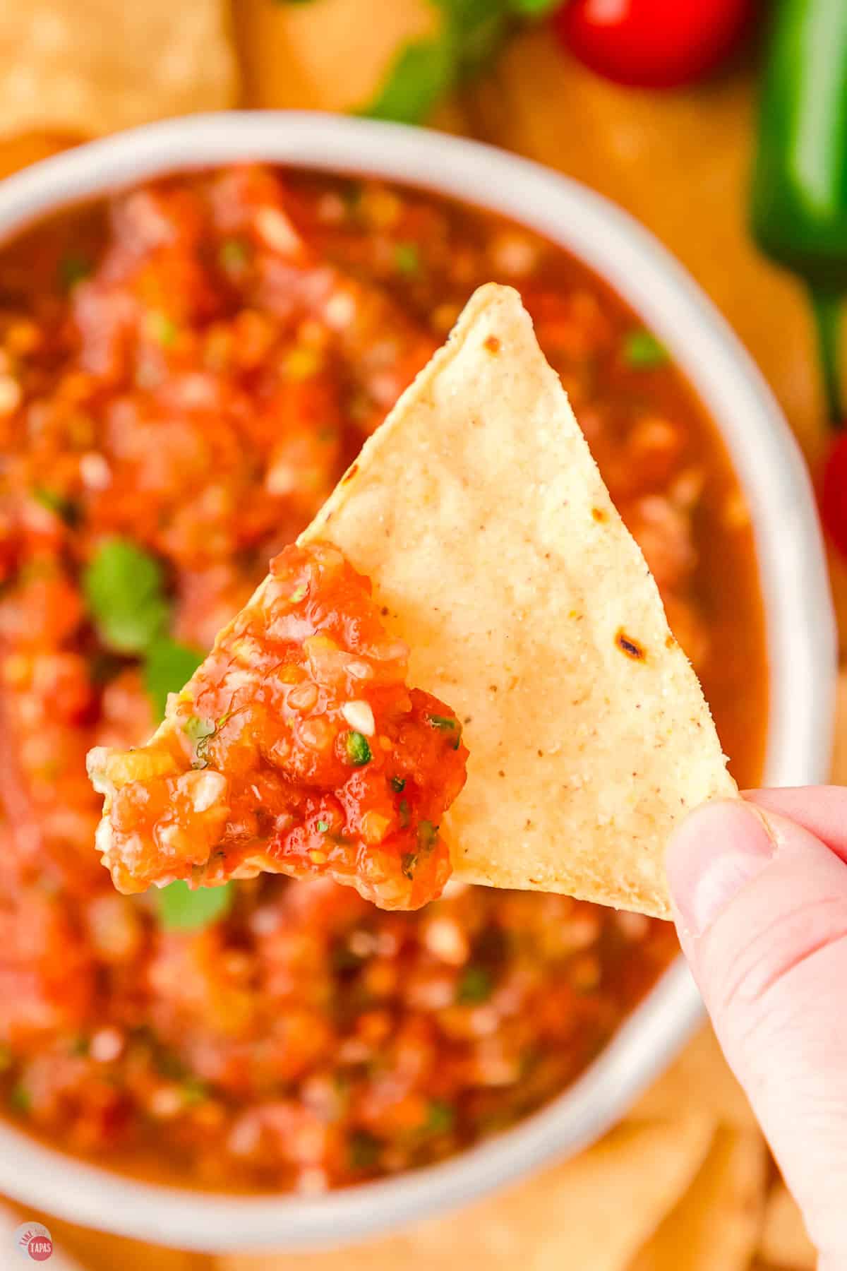 hand holding tortilla chip with red salsa on it
