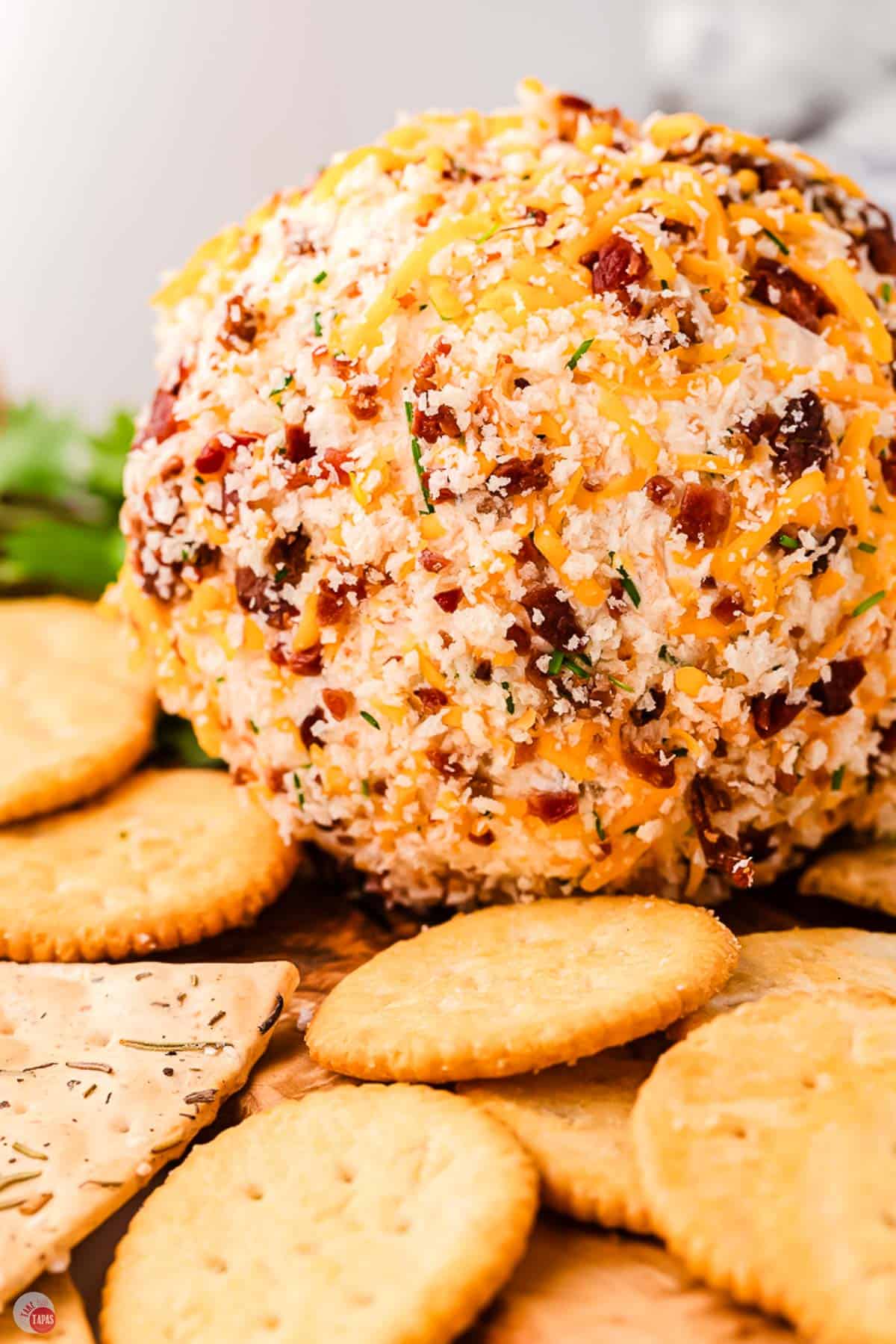 close up of cheese covered in bread crumbs