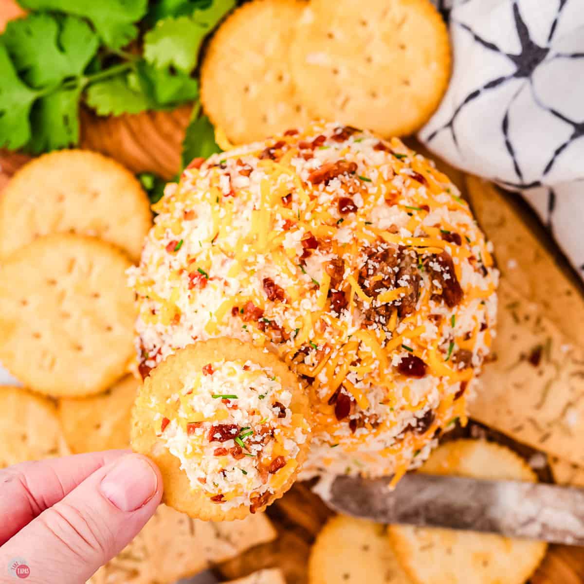 hand holding a cracker with cheese on it